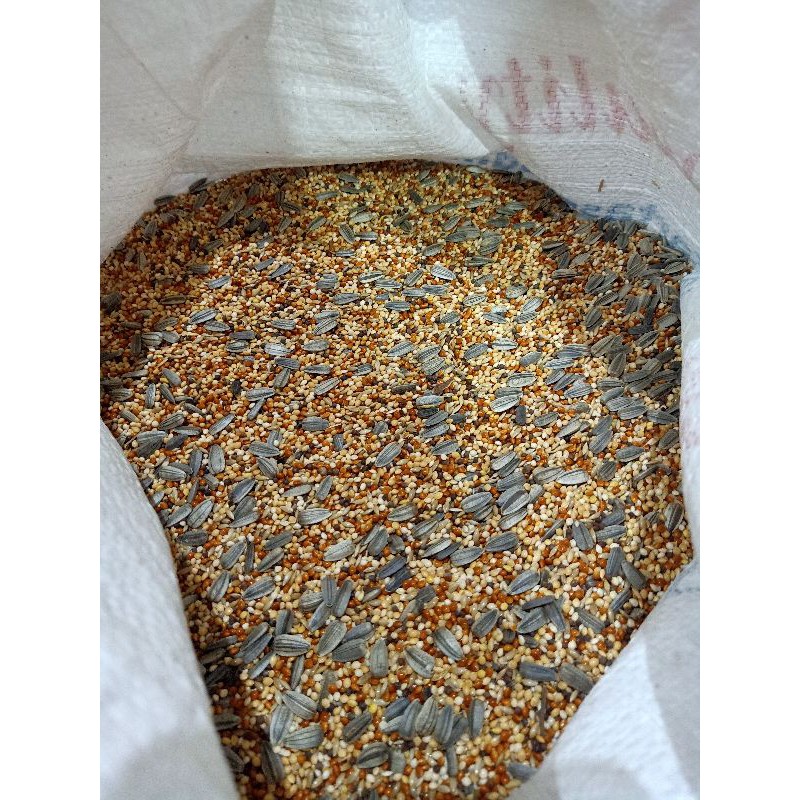Milet campur komplit plus kuaci 25kg - pakan lovebird campur karungan