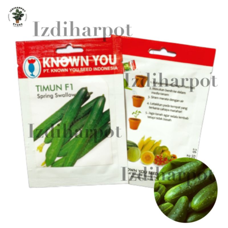 Benih Bibit Timun F1 Spring Swallow Known You Seed - KYS TIMUN F1 SPRING SWALLOW