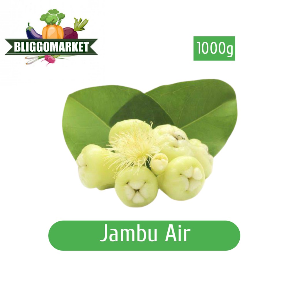 

Jambu Air Putih - /+ 1000gr (Bliggomarket)