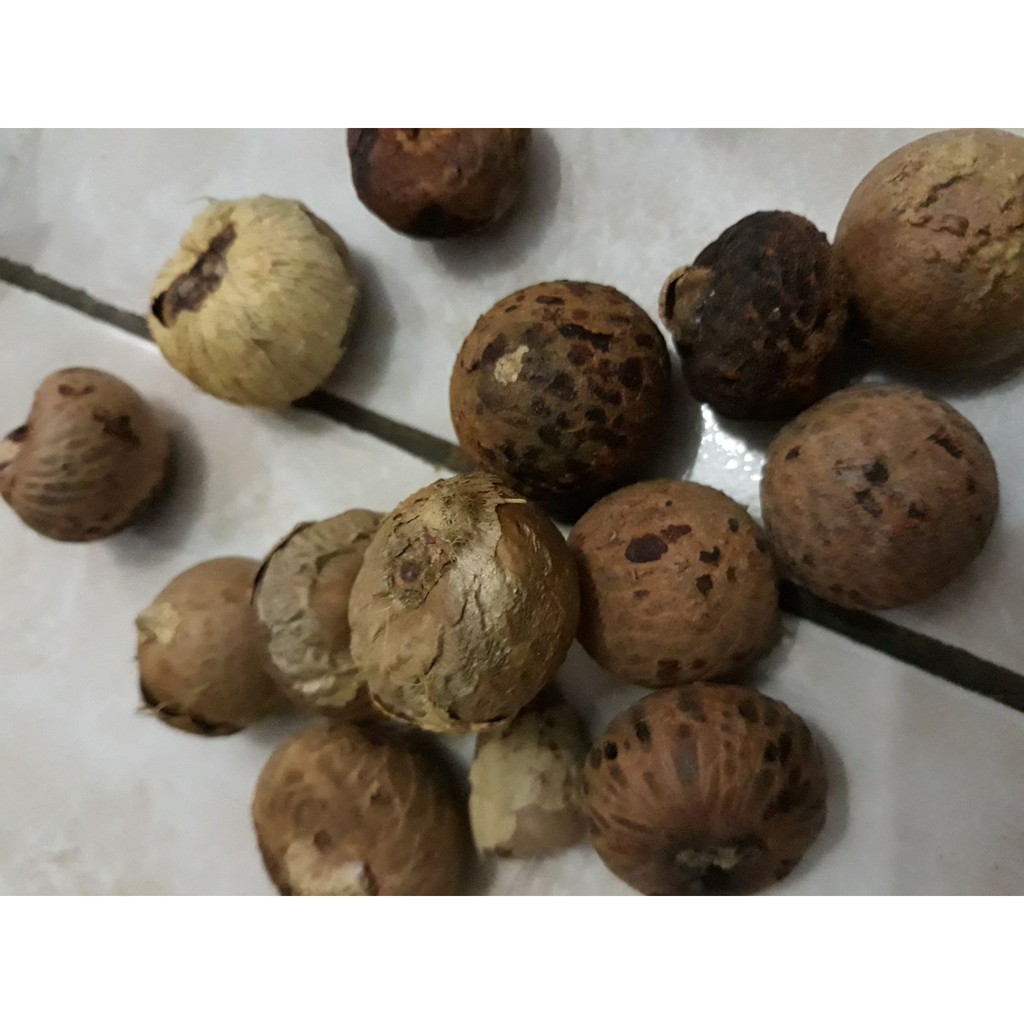 

biji pinang kering / jambe kering 100gr