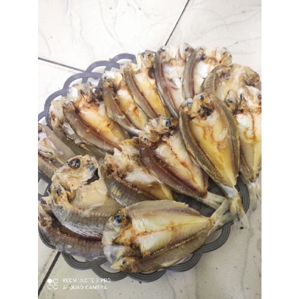

Ikan asin kepala batu / belahan 1 Ons