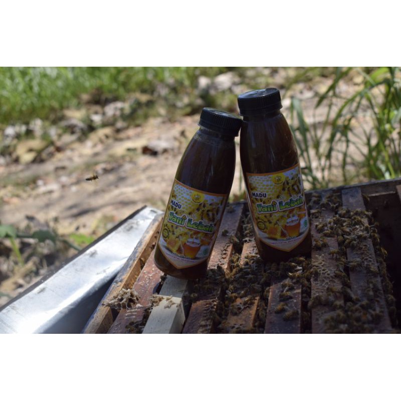 

Madu Hutan Liar 500 g