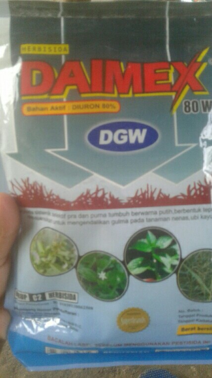 Daimex 80 Wp Dgw @250 Gram