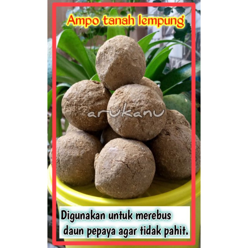 

Ampo tanah lempung untuk merebus daun pepaya