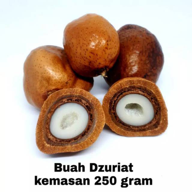 Buah Zuriat Doum 250g utuh / Zuriyat Mesir Asli ikhtiar promil