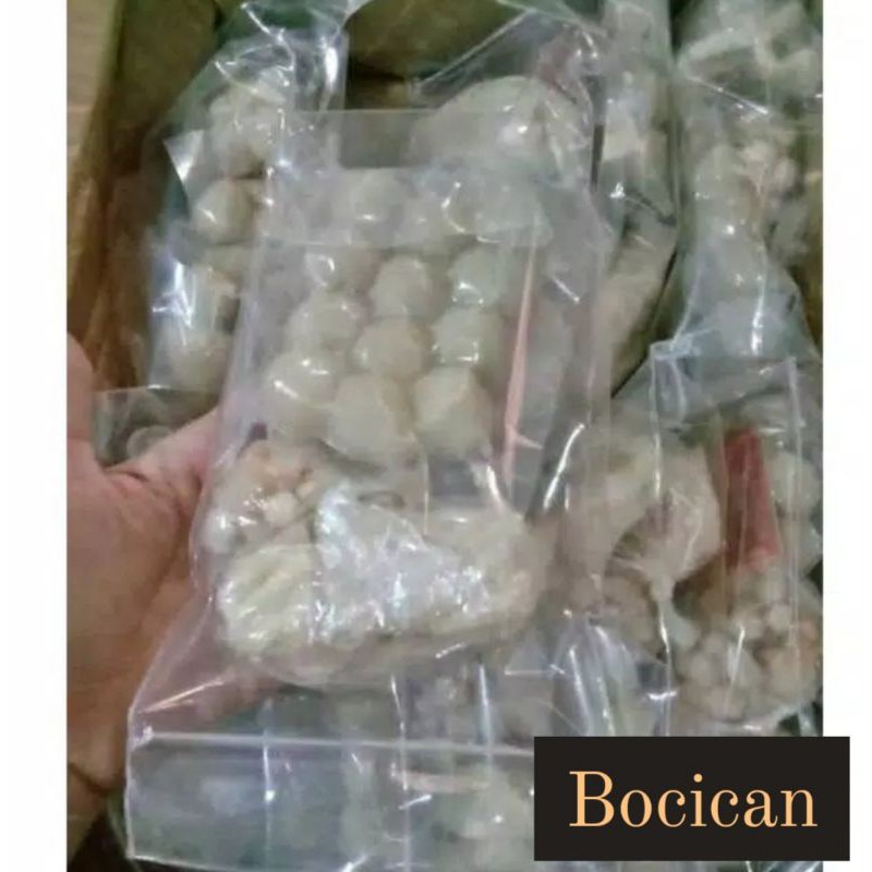 

BOCI ISI TULANG RAWAN BASO ACI TULANG