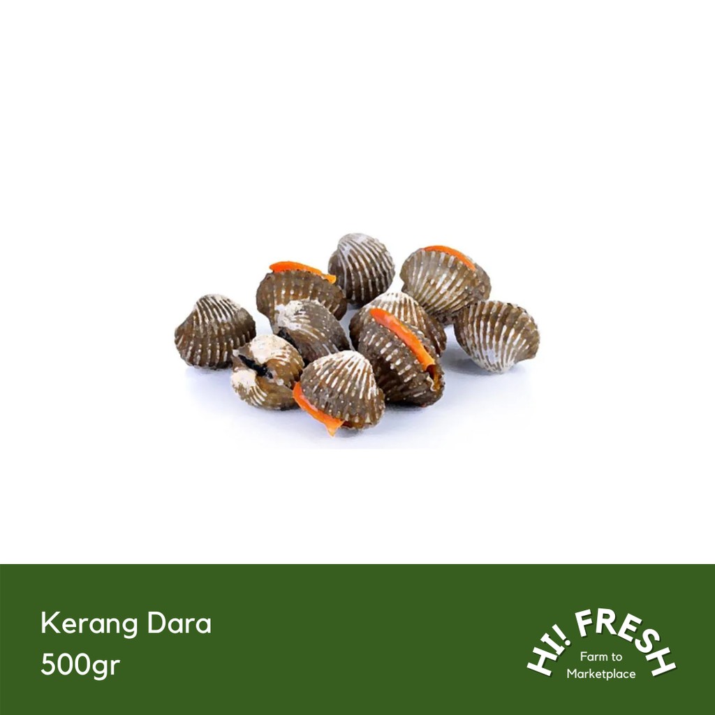 

Kerang Dara 500gr