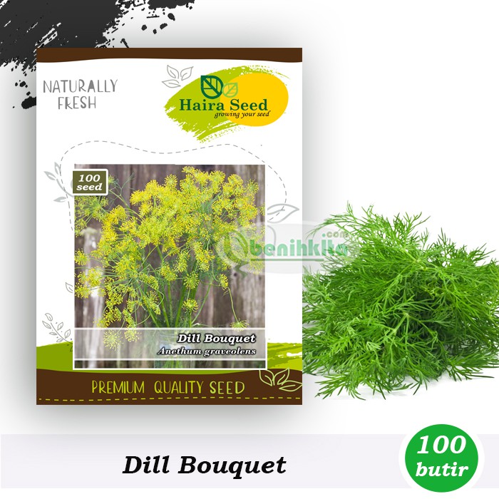 Benih-Bibit Dill Bouquet (Haira Seed)