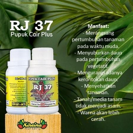 Ready Pupuk Cair Plus RJ 37 - Aglaonema, Philodendron, Anggrek, Adenium dll Kualitas Terjamin