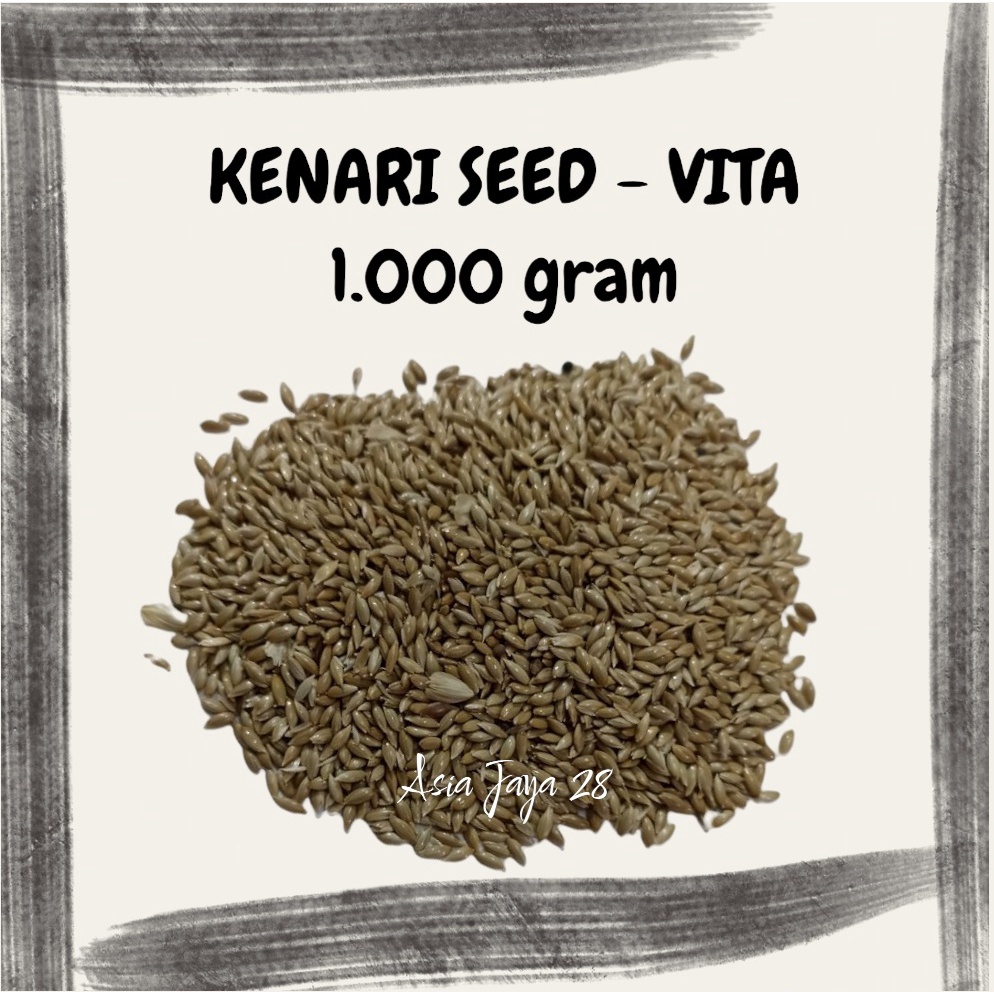 REPACK 1 kg Kenari seed Vita Canary Seed-Pakan Burung