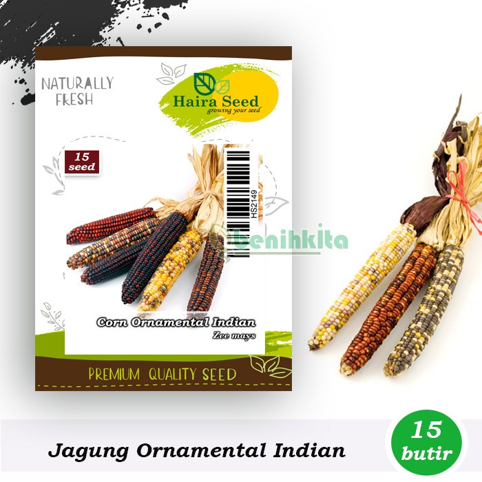 Benih-Bibit Jagung Ornamental Indian (Haira Seed)