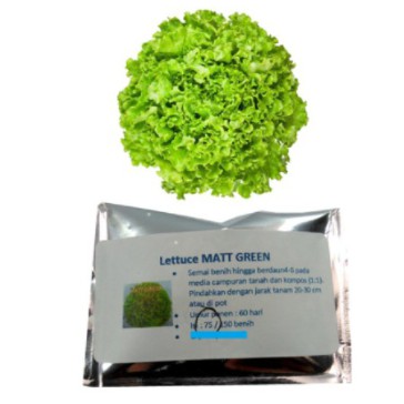 

Lettuce Matt Green