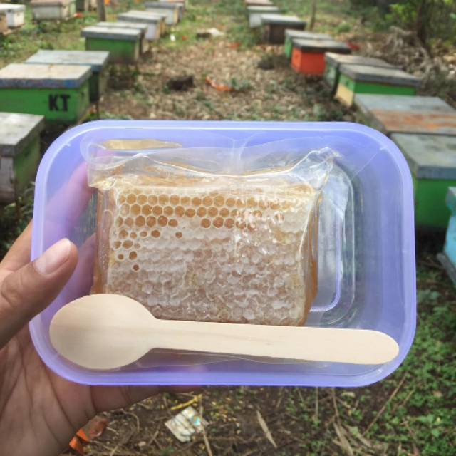 

(250 GR) SARANG MADU ASLI MELIFERA / HONEYCOMB / MADU SARANG