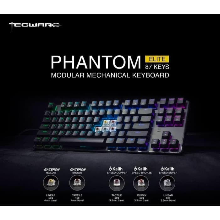 Tecware Phantom Elite P87 TKL RGB Gatheron Switch Mechanical Keyboard