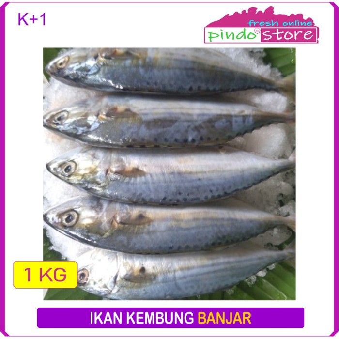 

IKAN KEMBUNG BANJAR SEGAR BERKUALITAS TERJAMIN