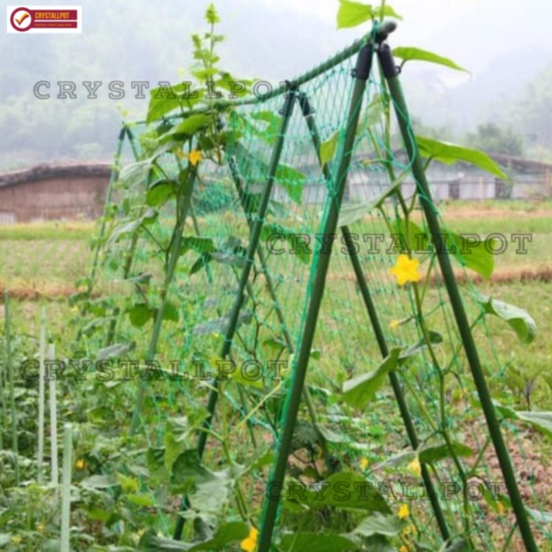 JARING RAMBATAN TANAMAN PLANT CLIMBING NET 1,8 METER - JARING RAMBATAN TANAMAN