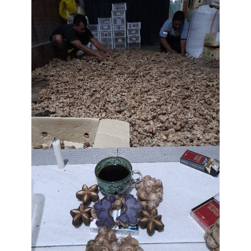 kunyit hitam asli 1KG