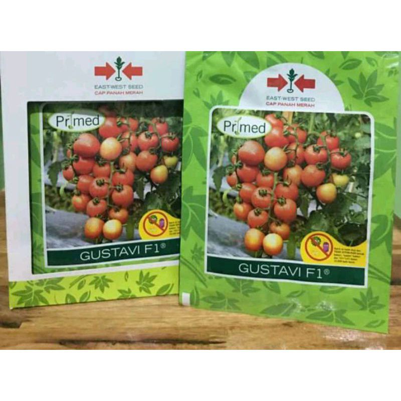 benih bibit tomat Gustavi F1 1750 butir