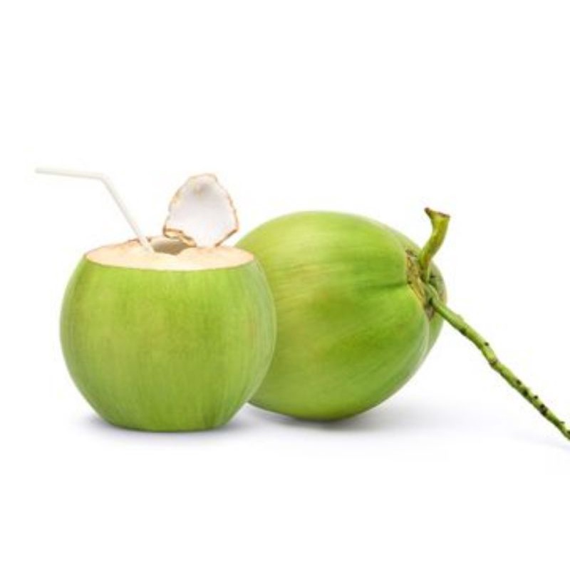 

kelapa muda