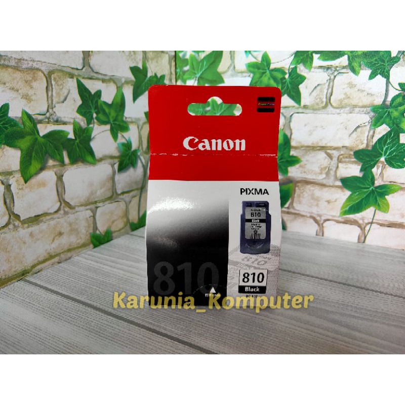 Cartridge Canon 810 Original