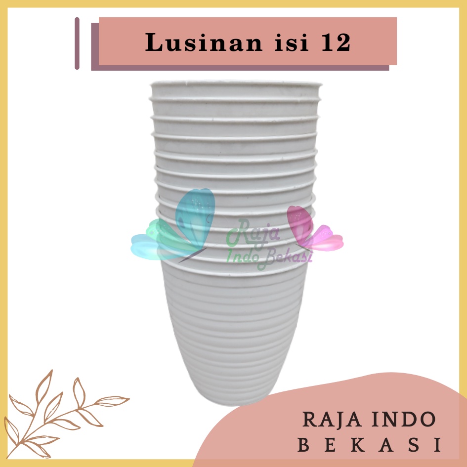 Lusinan Pot Tawon Pirus 15 Putih Pot Tawon Pirus Tirus Tinggi 15 18 20 25