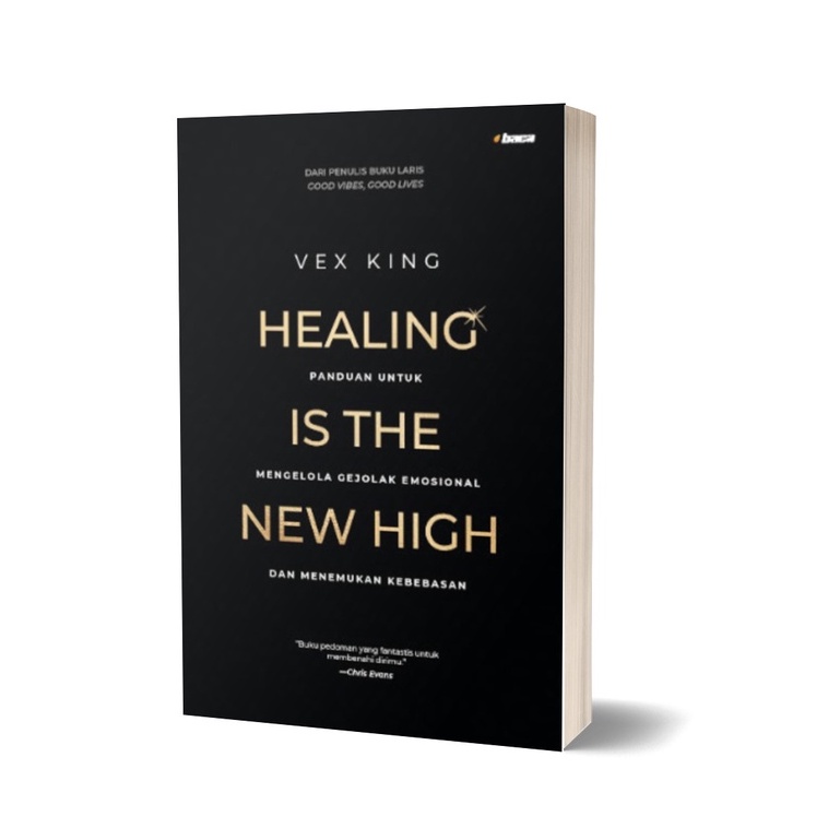 Healing is The New High - Vex King