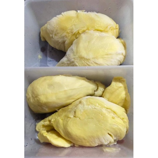 

Duren montong palu