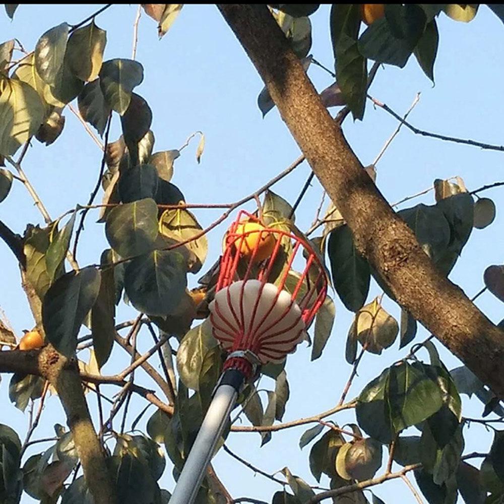 NICKOLAS1 Fruit Picker Deep Basket Nyaman Ambil Penangkap Buah