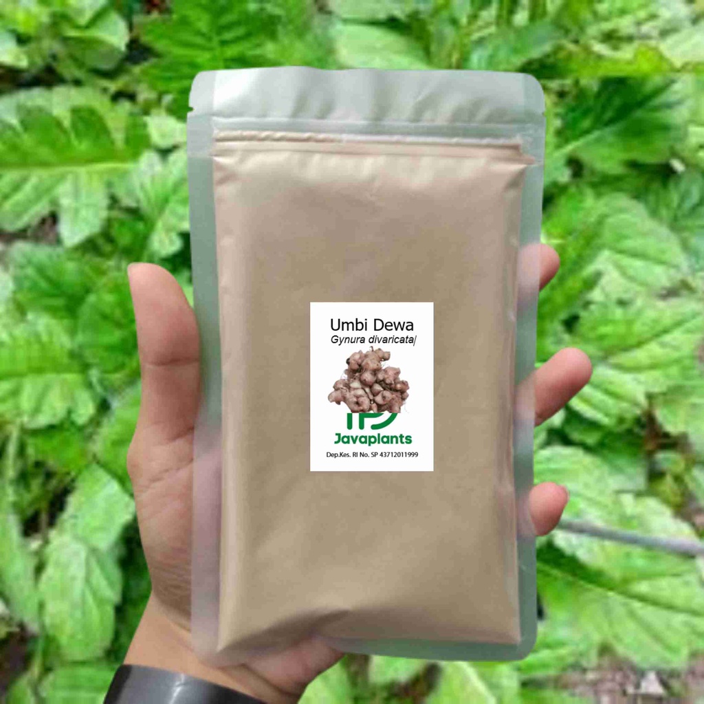 

Bubuk Umbi Dewa 250 g Samsit Simplisia Serbuk Rimpang Daun Dewa Gynura Divaricate Segetum