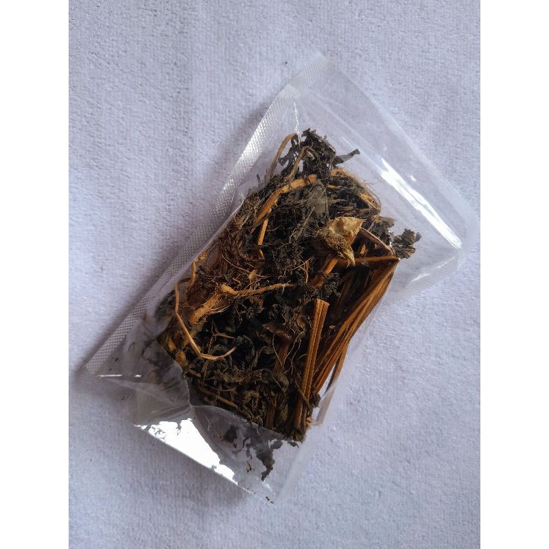 

DAUN CIPLUKAN KERING (50 gram)