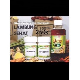 

jamu herbal Naturindo