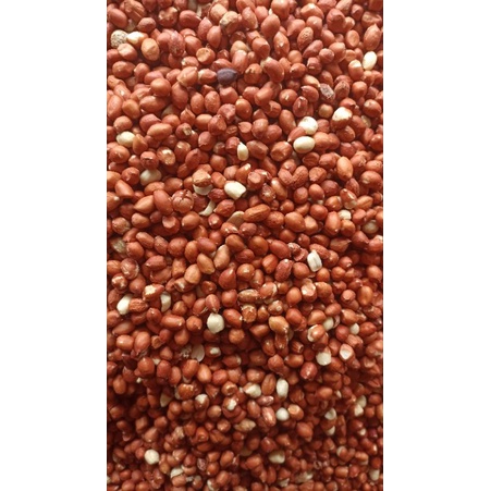 

Kacang Tanah Sudan