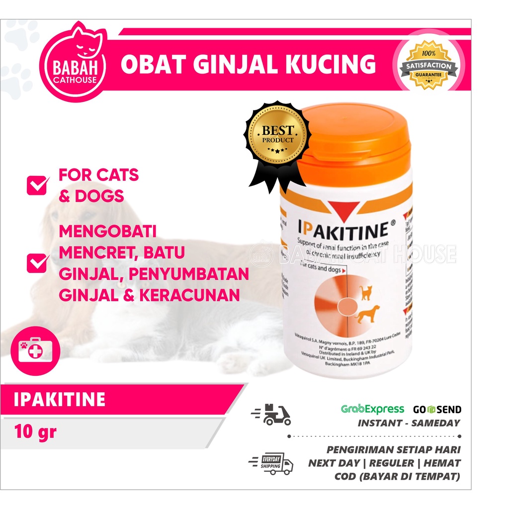 IPAKITINE Obat Gagal Ginjal Kucing Anjing Cat Urinary Sakit Susah Gangguan Kencing Batu Muntah Diare
