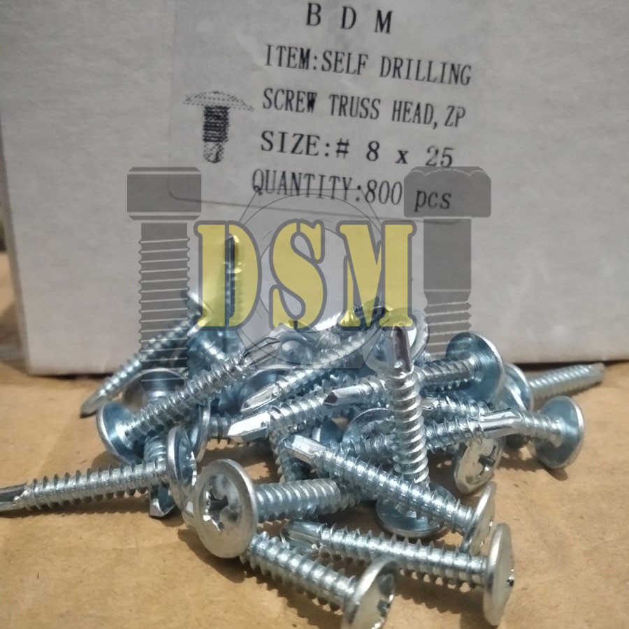 (100 PCS) Sekrup Roofing Truss Head SDS #8x25 (2,5CM)