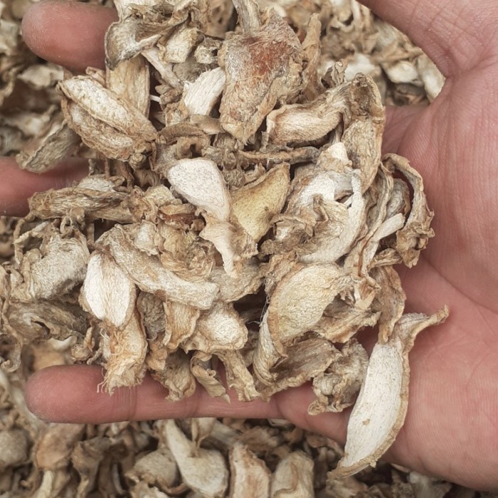 

Jahe Emprit / Jahe Putih 1/2 kg (500 g) IRIS Kering Asli Kualitas Terjamin Pedas Mantab