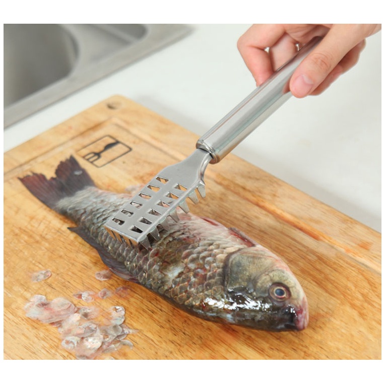 Pembersih Sisik Ikan Peeler Pembersih Ikan Fish Scraper Stainless Steel