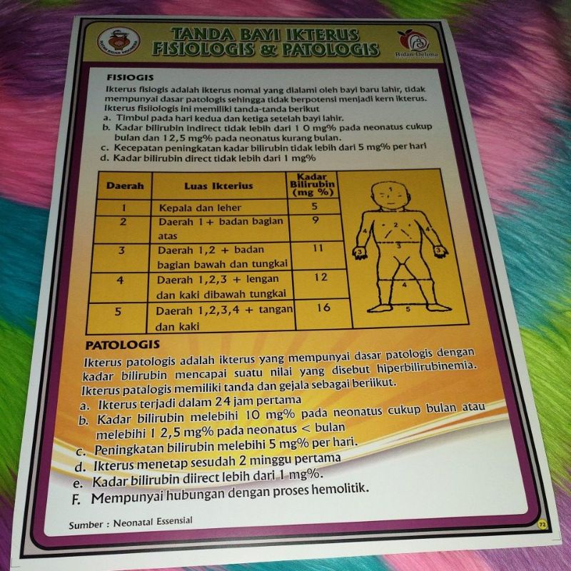 

Poster Tanda Bayi Ikterus Fisiologis dan Patologis