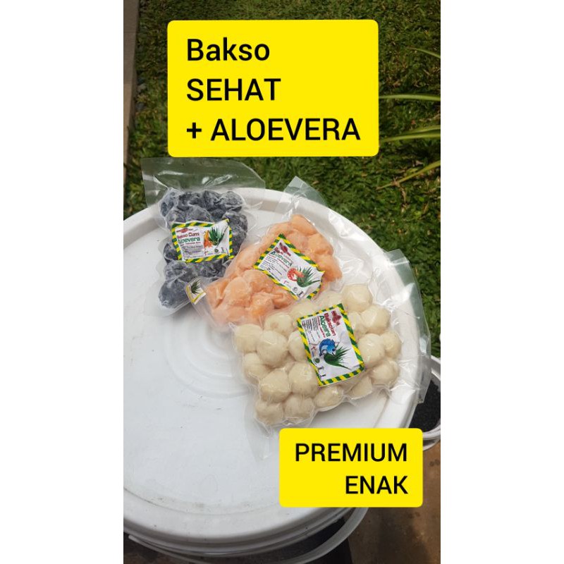 

bakso ikan udang cumi dengan ALOEVERA premium