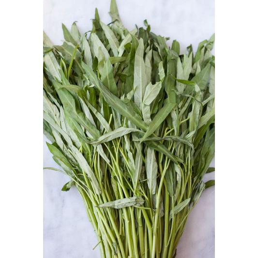 

Sayur Kangkung Segar
