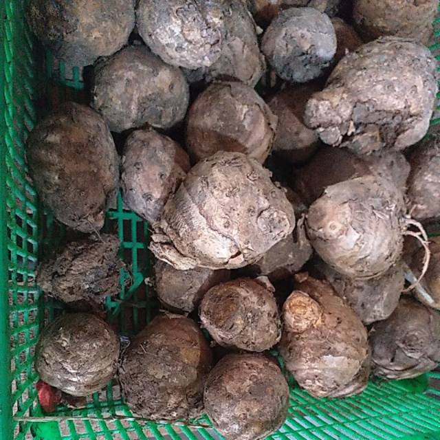 

Temulawak Fresh 250g