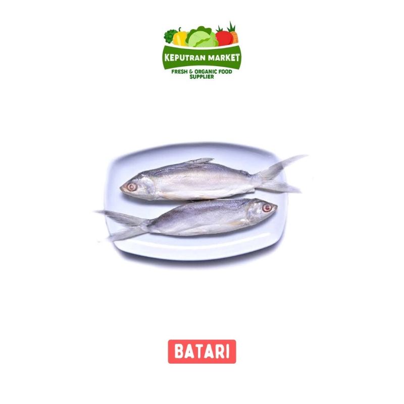 

Bandeng Tanpa Duri / Cabut Duri 500 Gram / Ikan Segar