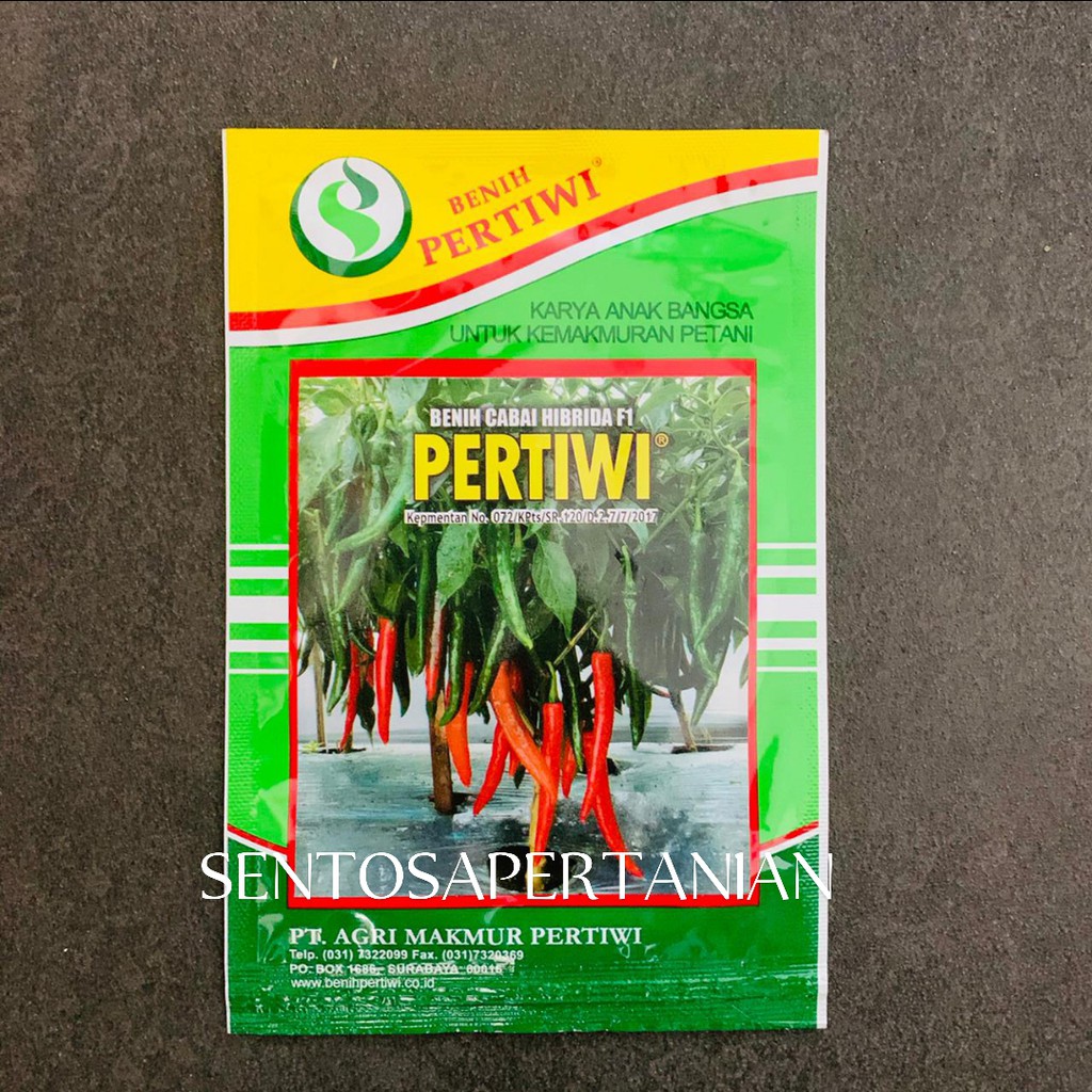 benih cabai besar hibrida PERTIWI 10gram dari BENIH PERTIWI