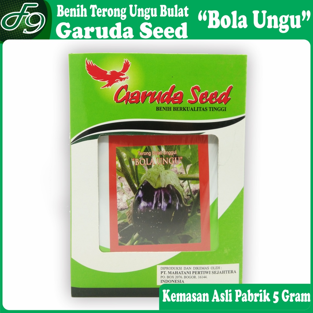 Benih Terong Ungu Bulat OP Bola Ungu Garuda Seed 5 Gram