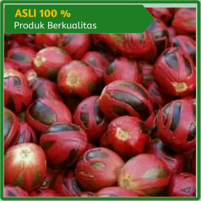 

Biji Pala Kering ( cangkang ) 100 gram
