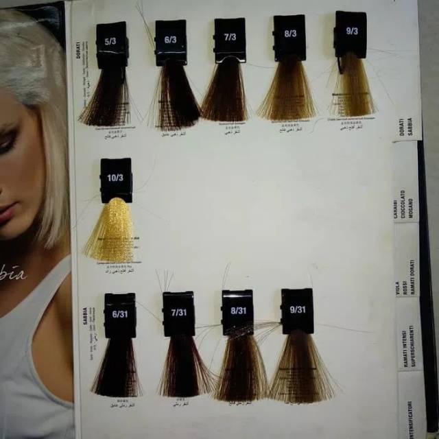 Everline one color