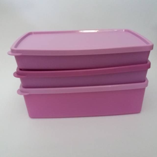 Tupperware_ Frozen Rectangular Set (3)