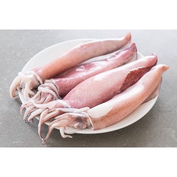 

Cumi Utuh Pancing Loligo / Squid Whole Size 5