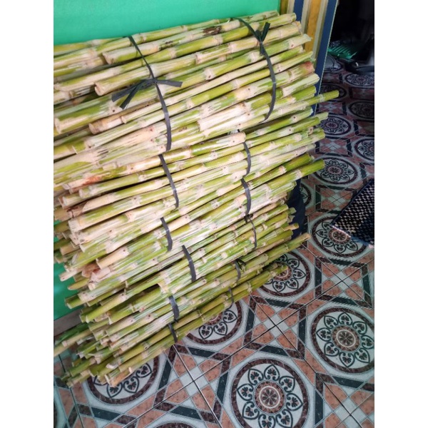 

Tebu ijo siap peras