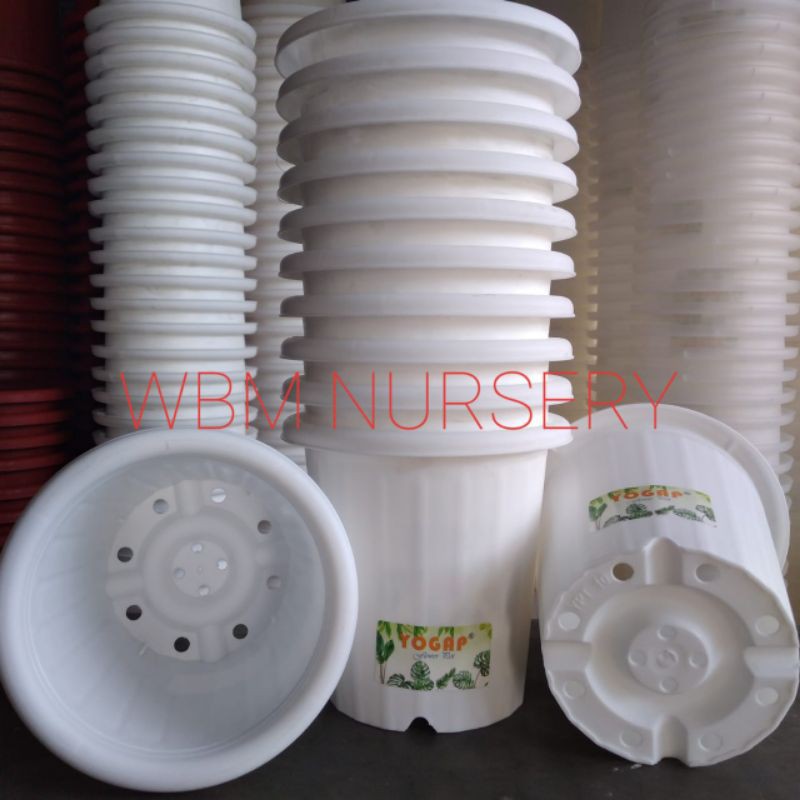 LUSINAN. Pot YOGAP YPT 13