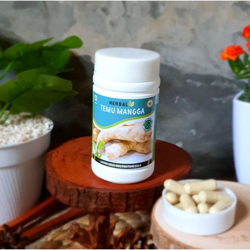 

Kapsul Temumangga original Ar rayyan herbal kanker
